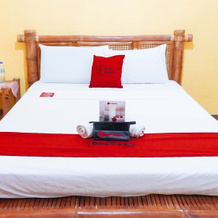 Bohol Island Coop Resort By Reddoorz, Димиао — фото 2