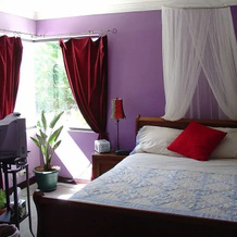 Casa Holanda Costa Rica, 埃雷迪亚的圣巴勃罗 — 照片 2