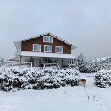Start Guest House, 焦米诺 — 照片 3