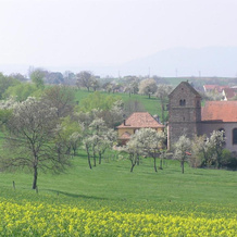 La Ferme de Marie, Rangen — photo 3