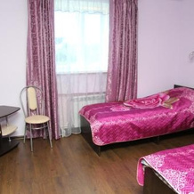 Hotel Edel'vejs, 洛帕季诺 — 照片 3