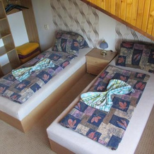 Pension U Vlášků, Dalovice — photo 5