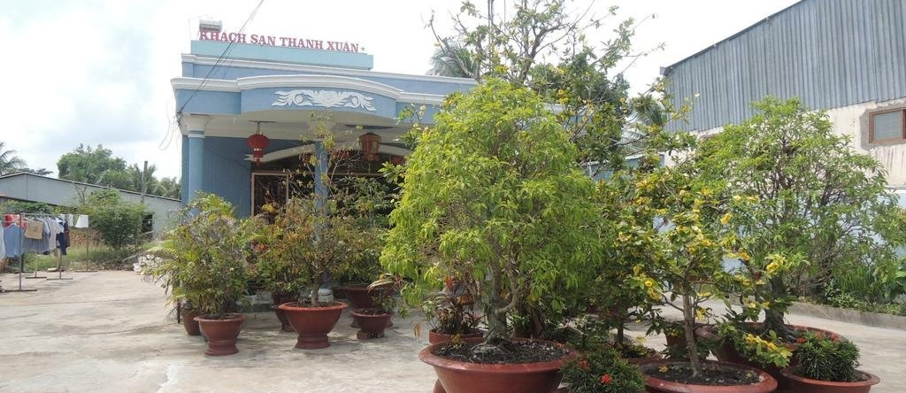 Thanh Xuan Hotel, Long Ho — photo 1