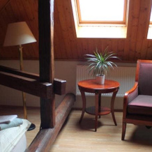 Hotel U Dobrého Lva, 拉德霍什季山麓弗伦什塔特 — 照片 5
