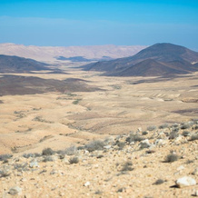 Alpaca Farm, Mitzpe Ramon — photo 2