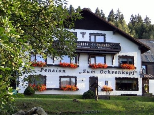 Hotel am Ochsenkopf, 比绍夫斯格林 — 照片 1