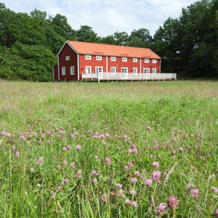 Stf Tjärö Hotell & Vandrarhem, Morrum — фото 5