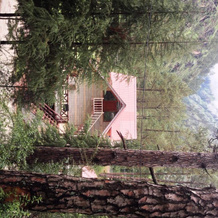 Parvati Woods Cottage, Kasol — photo 4