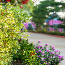 Kunnuad Garden Resort, 卡拉辛 — 照片 3