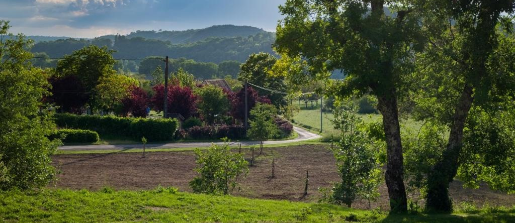 Gîte le Noyer - l'Ancien Vignoble, 圣朱利安德朗蓬 — 照片 1