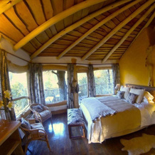 Tree Lodge Nidos de Pucon, Pucon — photo 2