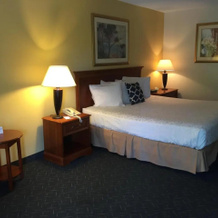 Holiday Inn Gettysburg (Battlefield), Геттисберг — фото 5