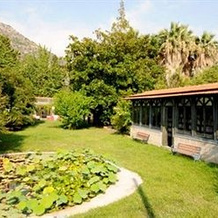 La Gallina Felice B&B, 梅塔 — 照片 3