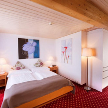 Hotel Schlössli Garni - Free Parking, 伊普萨赫 — 照片 3