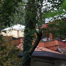 App Carolina, Creazzo — photo 4