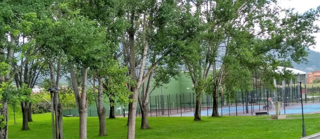 Apartamento Estelas de Cantabria, 洛斯科拉莱斯德布埃尔纳 — 照片 1