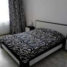 Apartment Irkutsk, Иркутск — фото 5