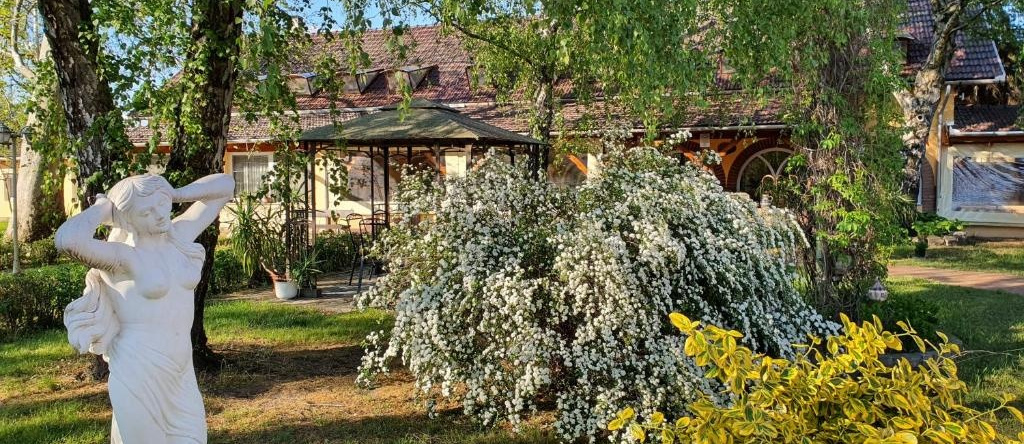 Platán Szálláshely, Sandorfalva — photo 1