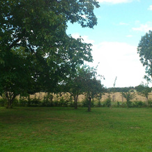 Charming Retreat, Ballenstedt, Ballenstedt — photo 5