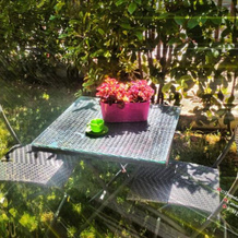 Bed And Breakfast Borgo Santa Margherita, Salerno — photo 5