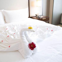 Hot Spring Valley Park Avenue Hotel, Xianning — photo 2