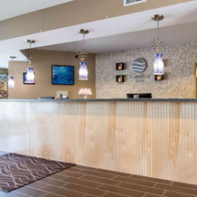 Comfort Inn Apalachin, 奥韦戈 — 照片 2