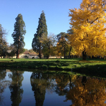 Chateau de Bresse sur Grosne, 格罗讷河畔布雷斯 — 照片 3