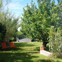 le gîte Lou Jas, Eyragues — photo 4