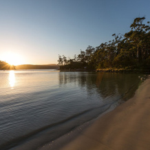 NRMA Port Arthur Holiday Park, Port Arthur — photo 5