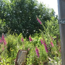 Heron's Rest Bed & Breakfast, 奥特角 — 照片 4