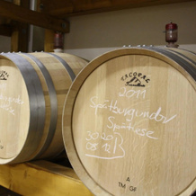 Schwarzer Adler Weingut, Ипсхайм — фото 4
