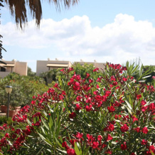 Residence Punta Longa, Favignana — photo 4