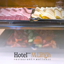 Hotel Mclimon, Новы-Йичин — фото 2