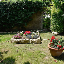 B&B Kiwi, Agugliaro — photo 4