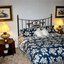 Rock Laurel Bed and Breakfast, Candler — photo 5