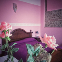 Agriturismo Borgo Tecla, Rosa — photo 2