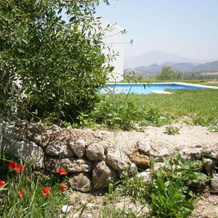 Apartamentos Rurales El Cañuelo de Carcabuey, 卡尔卡布埃 — 照片 4