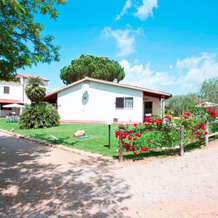 Agriturismo Vigna Mai, 马利亚诺因托斯卡纳 — 照片 3