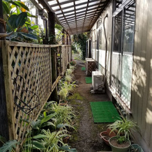 Hachijojima Gardenso, 八丈岛 — 照片 3