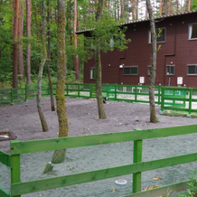 Azumino Onsen Dog Run Oyado Tantan, Адзумино — фото 2