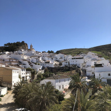 Rural Gaitanes, Ardales — photo 5