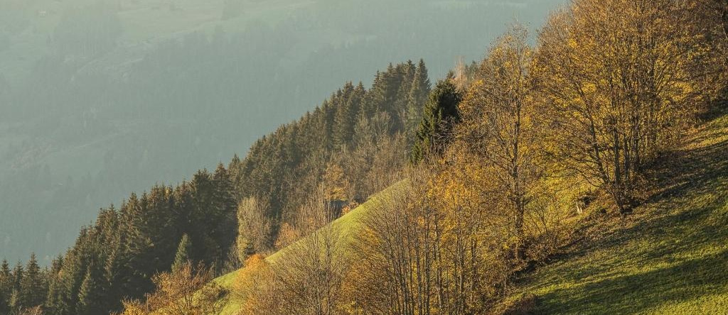 Hanserhof, Hainzenberg — photo 1