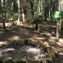 Ecolodge Lacandones - Selva Lacandona, 弗龙特拉科罗萨尔 — 照片 5