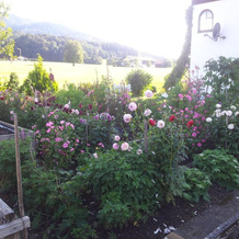 Ferienwohnung Zottnerhof, 弗拉斯多夫 — 照片 5