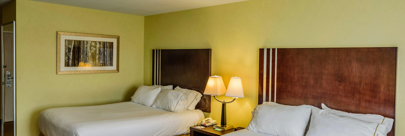 Holiday Inn Express Hotel & Suites Hamburg By Ihg, Гамбург — фото 1