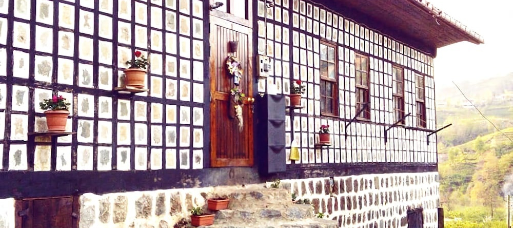 Laz Evi Pansiyon, 芬迪克利 — 照片 1