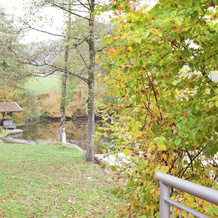 Beautiful Apartment in the Bavarian Forest With Separate Entrance, 豪岑贝格 — 照片 5