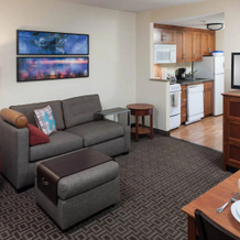 Towneplace Suites By Marriott Suffolk Chesapeake, Суффолк — фото 5