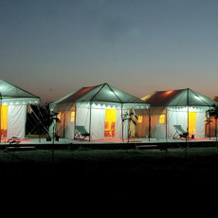 The Thar Oasis Resort & Camps, Dechu — photo 5