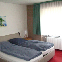 Hotel Zum Forsthaus, 阿尔特瑙 — 照片 2